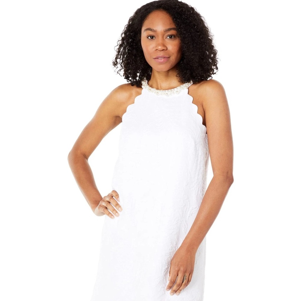 Tabby Shift Dress Size Large EEUC - worn once and dry-cleaned Size L